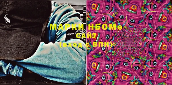 стаф Дмитров