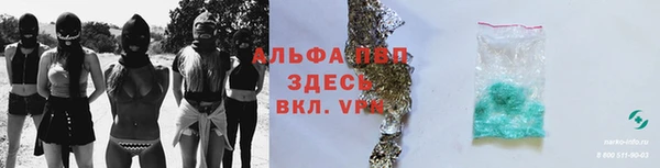 стаф Дмитров