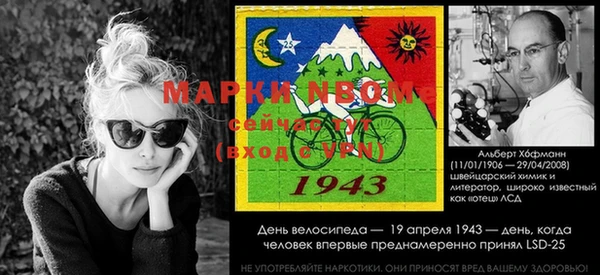 a pvp Дмитровск