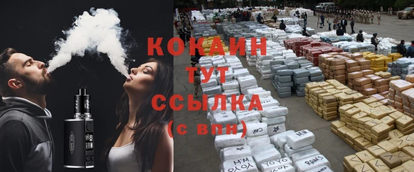 стаф Дмитров