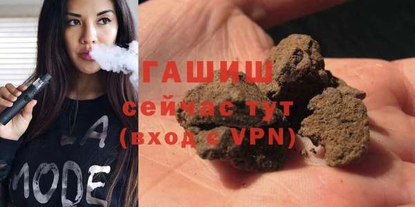 стаф Дмитров