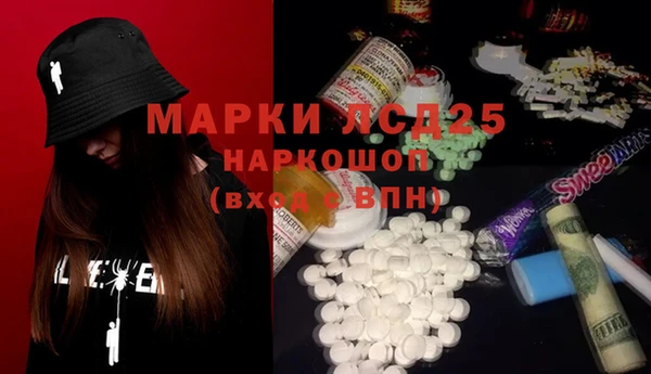 стаф Дмитров
