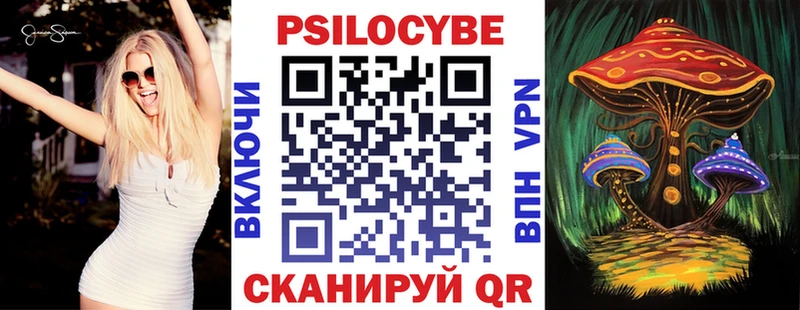 Купить  Черкесск  Псилоцибиновые грибы мицелий 